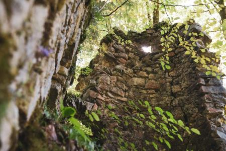 Ruševine gradu Rožek, Alenka Peterlin